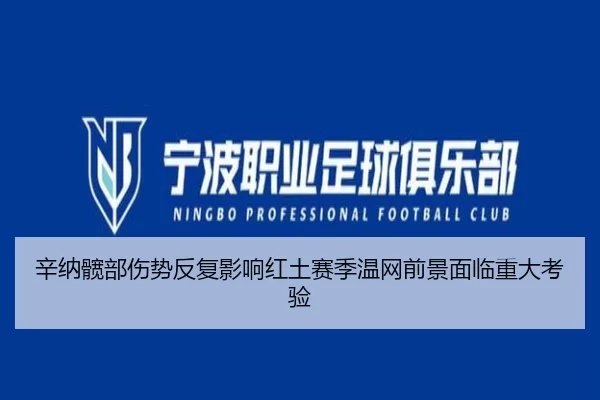辛纳髋部伤势反复影响红土赛季温网前景面临重大考验